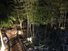 -江南天池高山汤泉城