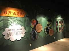 -武汉动物园