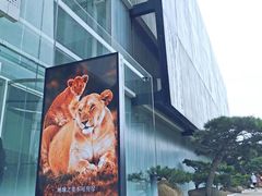 -罗红摄影艺术馆