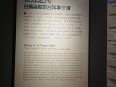 -白鹤梁水下博物馆