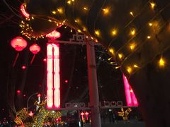 -杨记拉面总店