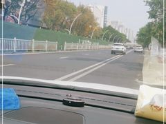-老妈宫粽球
