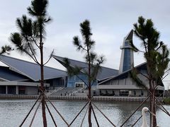 -盐城丹顶鹤湿地生态旅游区