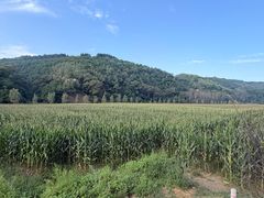 -南泥湾风景区