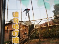 -合肥野生动物园