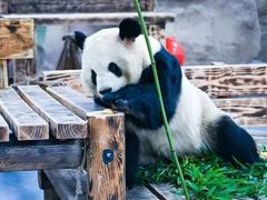 -无锡动物园·太湖欢乐园