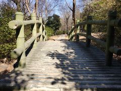 -宝界山林公园