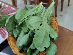-情忆草原涮肉馆