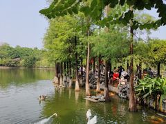 -东莞市可园博物馆