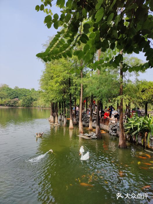 东莞市可园博物馆图片