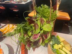 -芸山季·云南山珍菌火锅(人民广场来福士店)