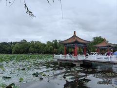 -长春市南湖公园