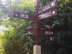 -铁山坪森林公园