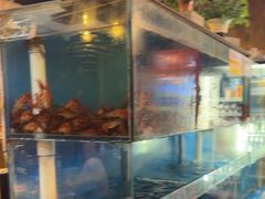 -小俩口烧烤东北菜(双井店)