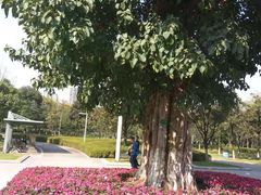 -重庆中央公园(渝北区)