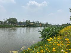 -溱湖国家湿地公园