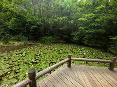 -天目湖山水园