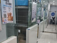 -芭比堂动物医院(广州爱宠下渡路分院)