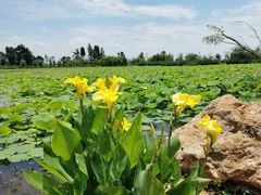 -呈贡滇池生态湿地公园