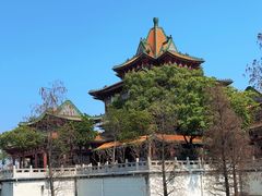 -顺峰山公园