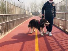 -ETC速通卡(六里桥服务网点)