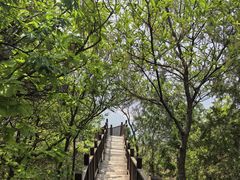 -北京十三陵国家森林公园蟒山景区