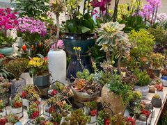 -双季花艺园艺市场(浦东店)