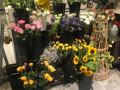 -之悦咖啡馆(新星宇·之洲店)