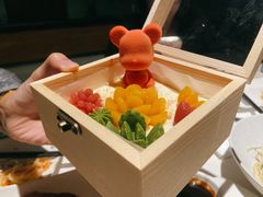 肉肉的抱抱熊-梧桐