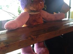 iphone_upload_pic-济州岛泰迪熊博物馆