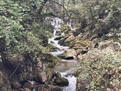 -青城山