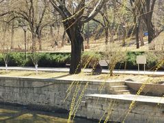 -元大都城垣遗址公园