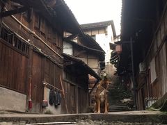 -福宝古镇
