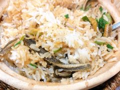 -熠盛粤味·顺德桑拿鸡(永康路店)