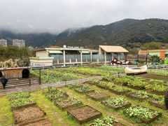 -宁波九龙湖开元度假村