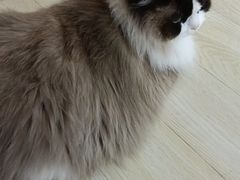 -发条鸭无人健身房(静安胶州路店)