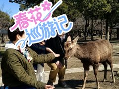 -奈良公园
