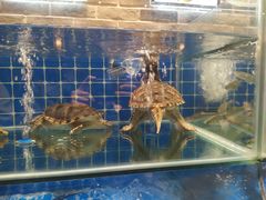 水产区-健眺小海鲜(临海后山店)