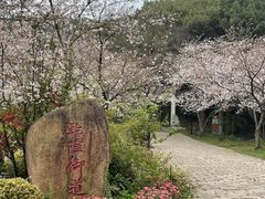 -苏州上方山国家森林公园