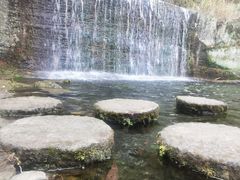 -千岛湖东南湖区