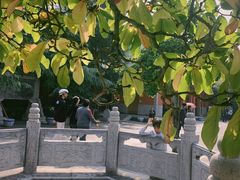 -西安市广仁寺