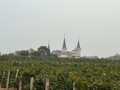 -北京张裕爱斐堡酒庄