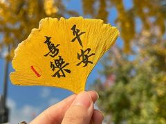 -Let's go狗咖·猫咖·奶狗·桌游(春熙路IFS店)