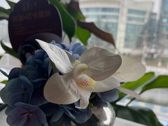 -鉴川·川菜传承(星汇两江店)