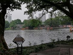 -荔湾湖公园