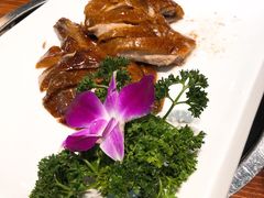 -顺德了能馆(虎门店)