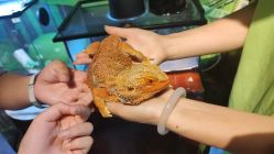 -酷嗒动物文化乐园(cutezoo西溪乐天城店)