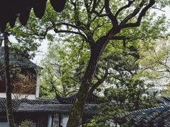 -拙政园