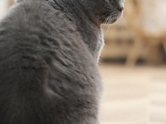 -Rabbit Cafe私房西餐甜点咖啡(栖霞路店)