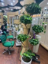 -艺米阳光Hair Salon